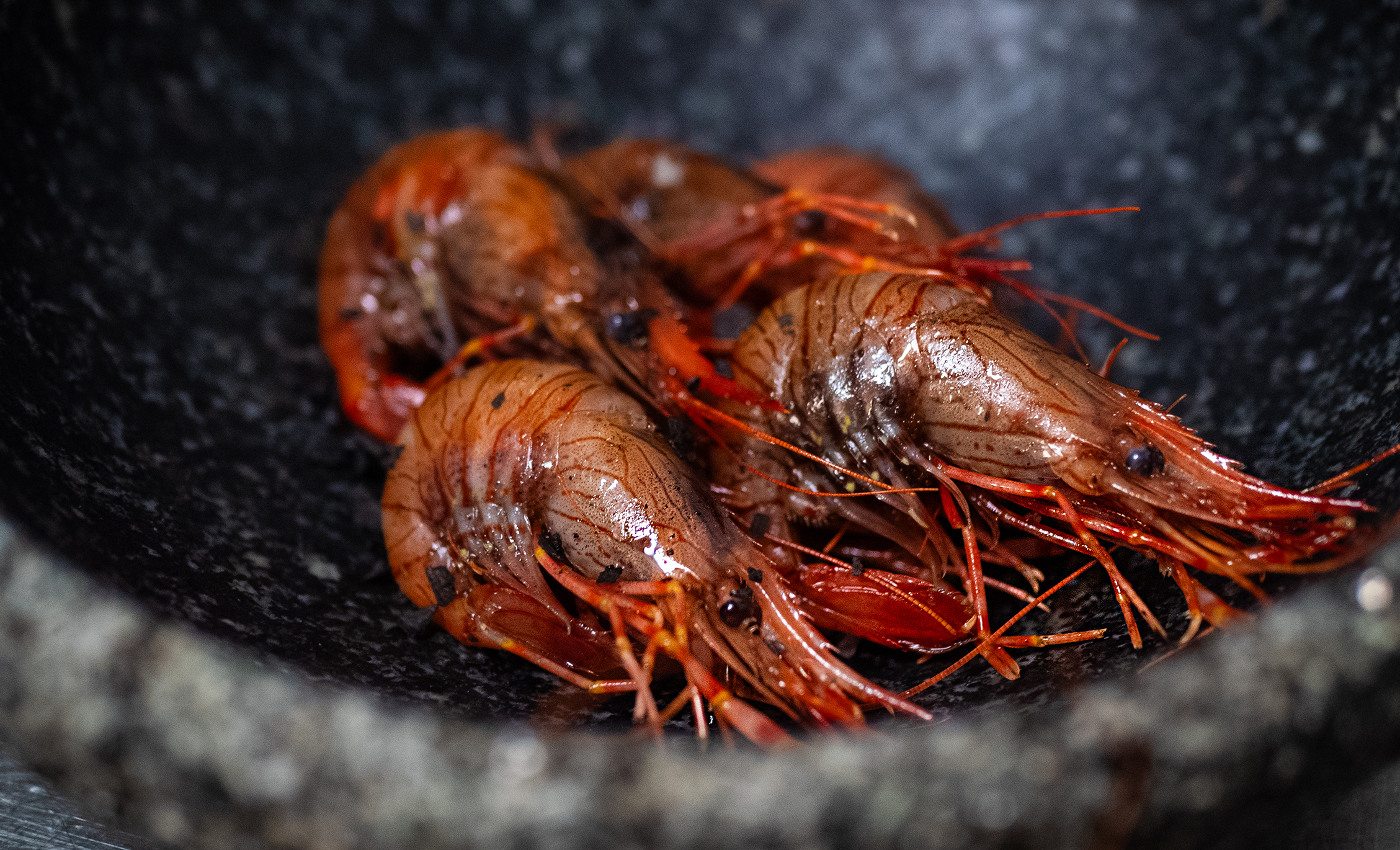Camarón gallego a la brasa en piedra volcánica, Albanta Cocina de Leña, Pontevedra